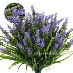 �����＾�羳����޹�²ݱ����ݾGֲ�ٻ���֦����ͥԺ�Ҿ��b�