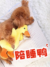 ������߽␞�����lë�qĥ����ҧС��̩�ϲ�Ȯ�������ȮС�S��