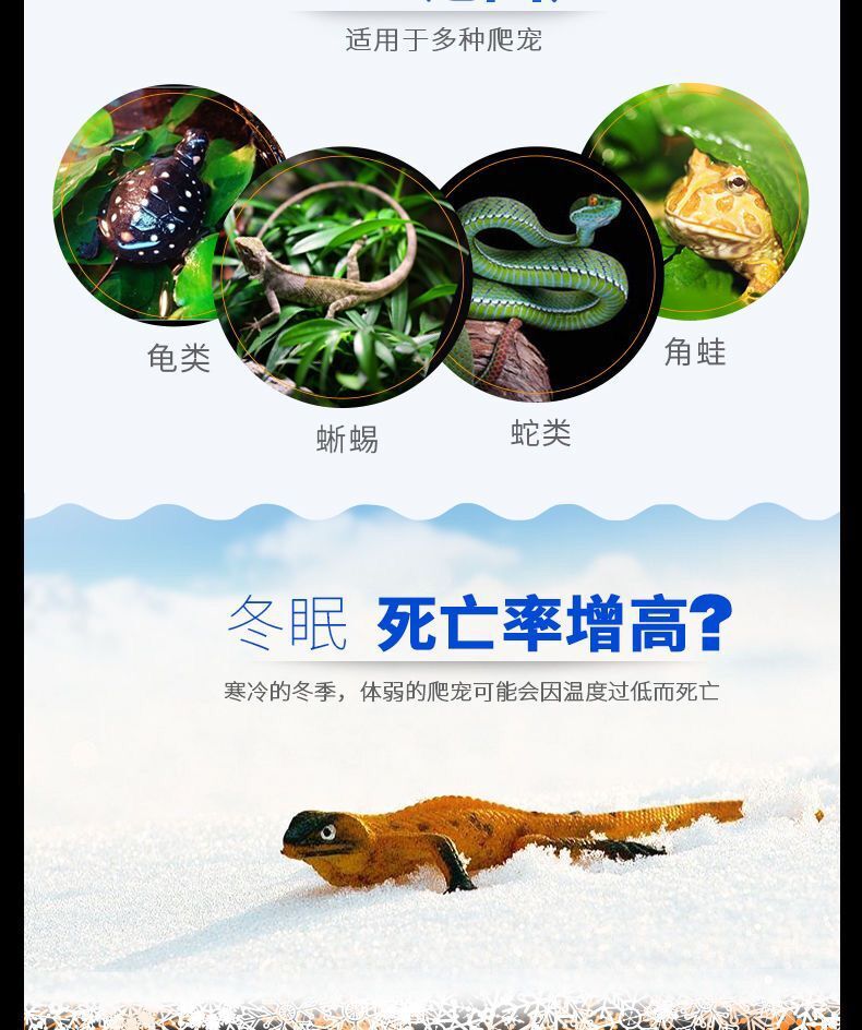 O1CN01g5nNm82CbNz2uWxc6_!!2165