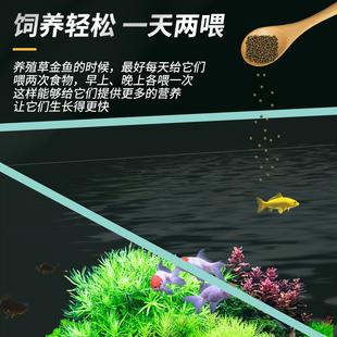 6BVQ���~���~���^�p�~�~��С�͵�ˮ���B�ͻ���ˮ�m���\��С���~��