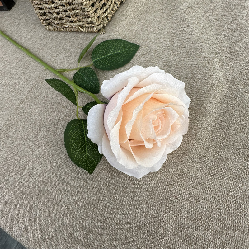 Single-sprig Anna Rose Champagne