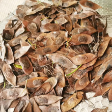 �S����N�����ں����S�����N�� �S̴��N�� ����ľ����ľ��tľ