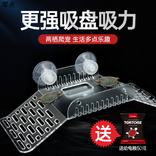 Turtle Basking Platform, Turtle Climbing Platform, Basking Platform, Climbing Platform, Floating Platform, Floating Island Ladder, Aquarium Landscaping, Brazilian Turtle Basking Platform