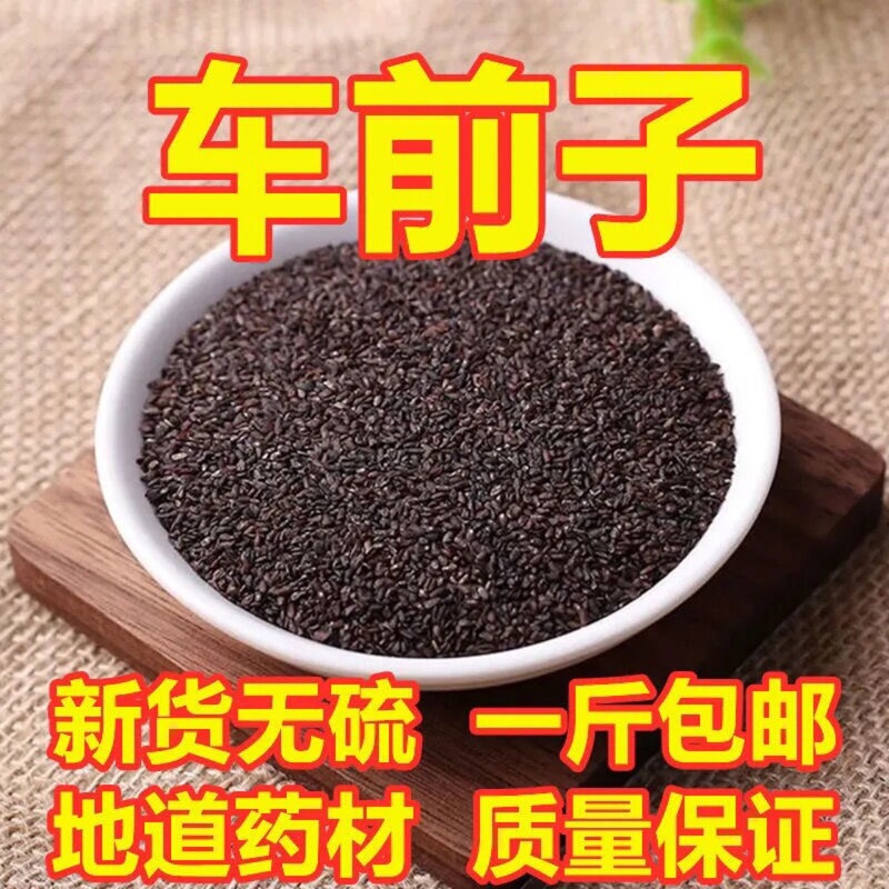 Psyllium Sulfur-Free New Goods Psyllium Chinese Medicinal Materials New Goods Farm-Produced Psyllium Free Shipping 500g Multiple Specifications Psyllium Sulfur-Free New Goods Psyllium Chinese Medicinal Materials New Goods Farm-Produced Psyllium Free Shipping 500g Multiple Specifications