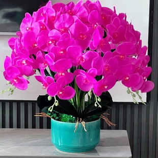 �����m�������Ժ����m����ֲ���҃Ȼ��ܾGֲ�辰�^���ļ��_�����B