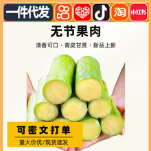 ��ɽ��Ƥ�������rˮ���W�t�خa�GƤ��˺��Ƥ�������l���l��S���]