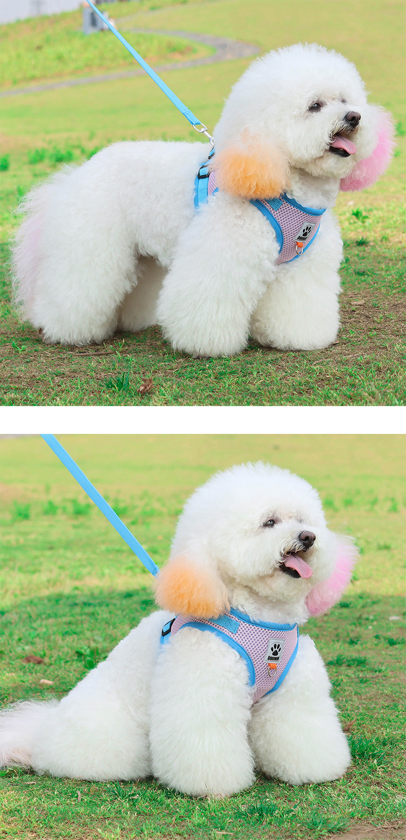 Polyester Material Color Block Pattern Fashion Polyester Color Block Leash 1 Piece