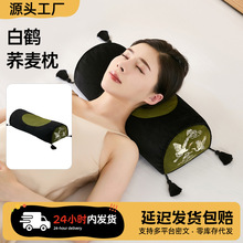 �w�����^�๦���o�i����˯�ߌ��������ˈA�������ӿ����i׵����|