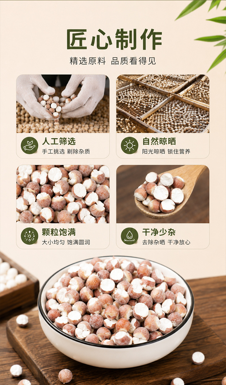 Organic Dried Gorgon Fruit Qian Shi 12mm Large Granules 500g Premium Red Skin Euryale Seeds key features