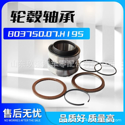 13T passenger bus rear wheel hub bearing unit with seals F-803750.07.H195 wheel hub bearing (Bearing)