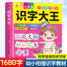 识字大王幼小衔接入学准备幼儿早教书籍学前教育幼儿园识字认字书