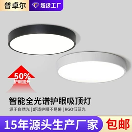 吸顶灯;吊灯;成套灯具