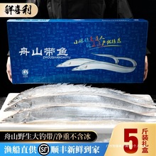 舟山带鱼礼盒鲜活冷冻小眼带鱼特大整条新鲜年货海鲜大礼包送礼