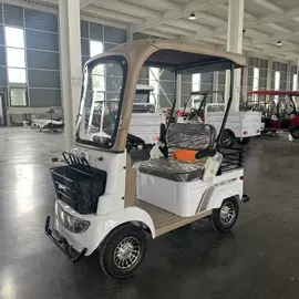 电动三轮车;其他电动车;三轮车