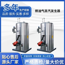 蒸汽发生器;燃煤锅炉;锅炉配附件