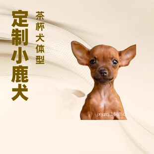 С¹Ȯ��Ȯ���w�������N�F����С¹ȮС���o�lȮ����Ȯ�����HȮ