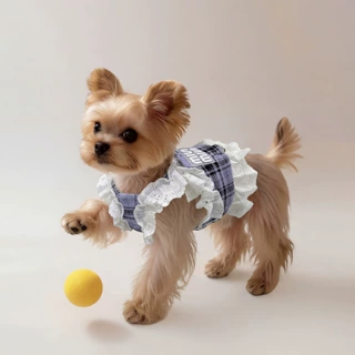 宠物衣服比熊雪纳瑞约克夏泰迪马尔济斯小型犬可牵引狗狗裙子服装