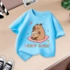 Light blue sitting bara short sleeves