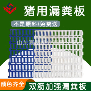 �羳�u��©�S���������Z�u�S©�S���u��|��©�S�W�ؾW�B�u�O��
