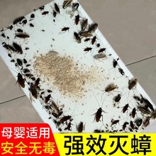 蟑螂屋强力贴粘板蟑螂药家用无毒一窝端全魔盒捕捉灭消杀除蟑螂夹