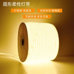 2835高電圧LED360度円形フレキシブルネオンライト、220V高電圧防水、屋内外兼用、14mm、越境直送