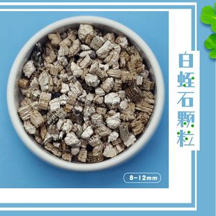 ��ʯ2-4���׾GֲǤ��o������������������B���ذ��m�ô��w��