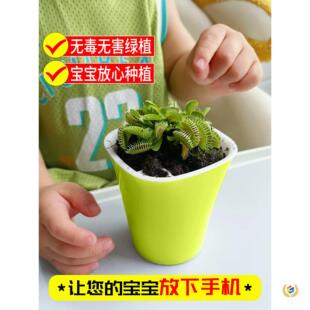 ?��ω�݊A���i�\������ʳ�x��ֲ������׃��@���B����GֲѪ�Ȭ�