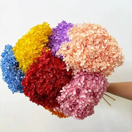 干花;鲜花花艺制品;永生花