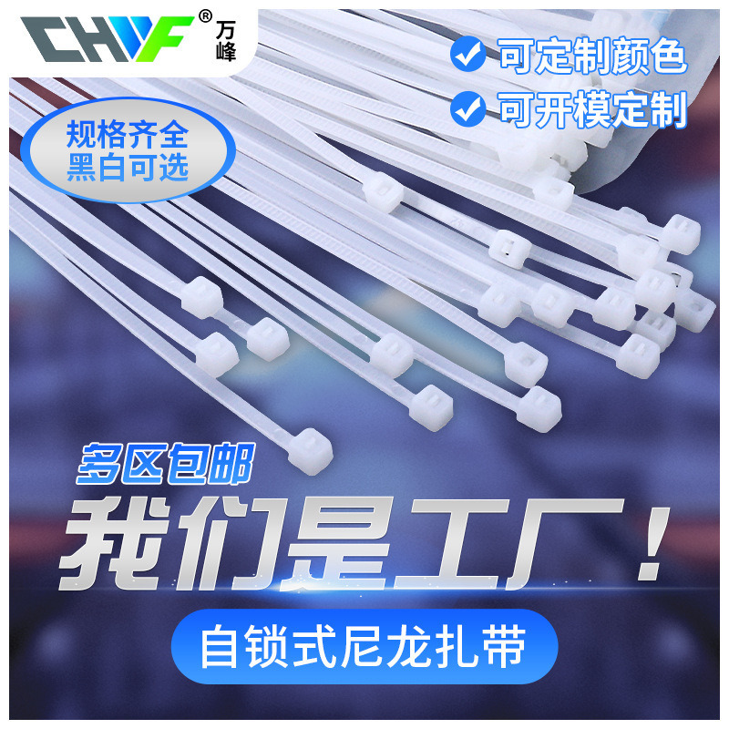 万峰非標準ナイロン結束バンド3x100*120*150*200工場標耐寒セルフロック式結束バンドプラスチック白黒|undefined