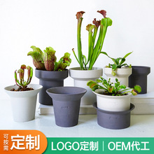 nⱱWinsWtСtͬmֲlogoɶմɻ