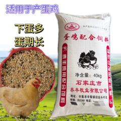 採卵鶏飼料、採卵鶏飼料、育成期の採卵鶏配合飼料、養鶏配合飼料 40kg メーカー直送