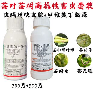�x�\��߻�x�� �������䚢�x���M�ϲ��~�G�~�s��ë�x����˶�