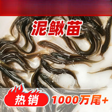 q̨qBֳ~籾qួqˮ]Nq