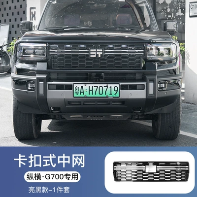 cover, special accessories, Automobile anti-insect net - zongheng-g700-series-glossy-black-center-grille1-piece-set