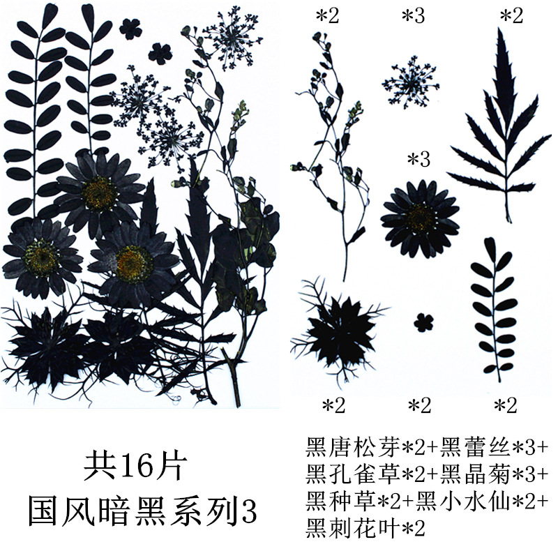 내셔널 스타일 다크 시리즈 3