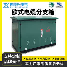 10KV电缆分支箱高压DFW-12/630一进一二三四出户外35KV欧式分接箱