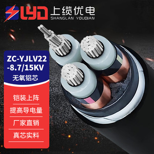 ZC-YJLV228.7/15KVZC-8.7/15KV�Xо�и߉���|��3о���X����ȼ