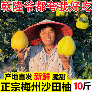 ���ڏV�|÷��ɳ�������Ϙ�������rˮ��10�ﮔ���ǏV���ݿhɳ����