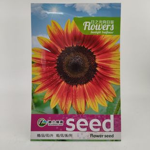 �ذ�̫ꖻ����N�ӻ����ļ��_���҃Ȼ����׻�����N�����տ��N����