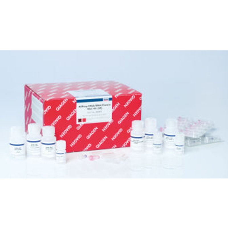80004 QIAGEN 凯杰 AllPrep DNA/RNA/Protein Mini Kit (50)Allpr