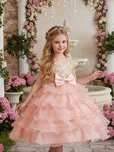 K 24435 Girl's Rose Tulle Dress Ůͯõ��ɴȹ ŷ���羳