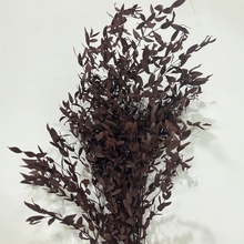 细尤加利叶干花永生花桉树叶代发家居装饰浴室植物干花束浴室装饰