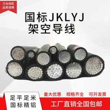 国标绝缘架空导线JKLYJ 10/16/25/35/50平方户芯电缆铝线电线