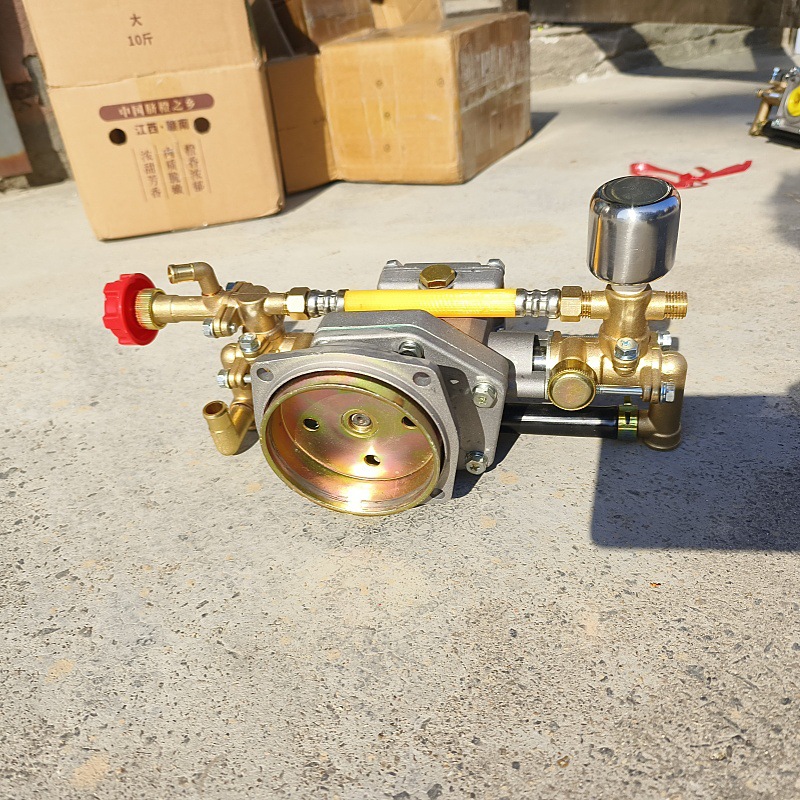 IMG_20240115_135812_副本