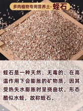 ��ʯ�w��Ǥ���¼��������B���Þ�������������ʯ�I�B�����С