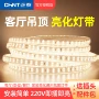 正泰柔性家用客厅灯带