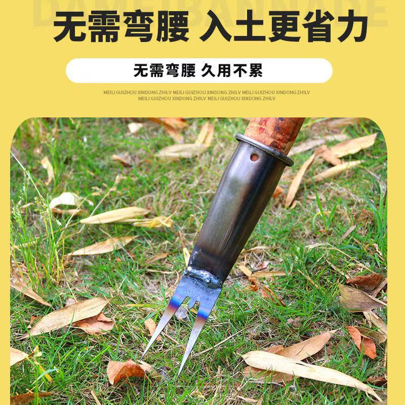 微信图片_202505291046093.jpg