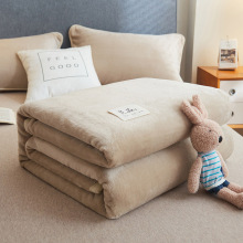 牛奶绒床单双面加绒加厚毛毯新款珊瑚绒法兰绒宿舍多功能被单绒毯