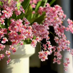 �����m���Ԏ����������m�����ܾGֲ�̨�����m��������������