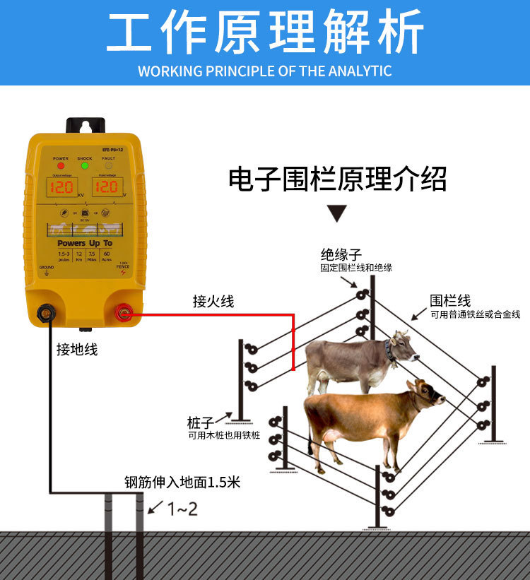 O1CN017Fpsu82LTuQ6mtC8Q_!!2211